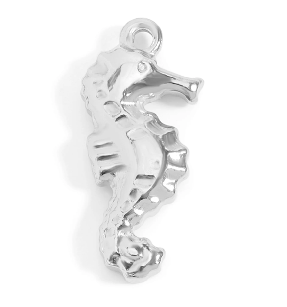 Seahorse