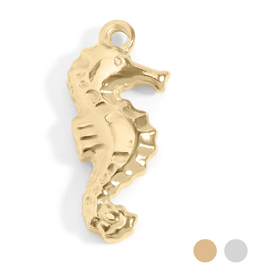Seahorse